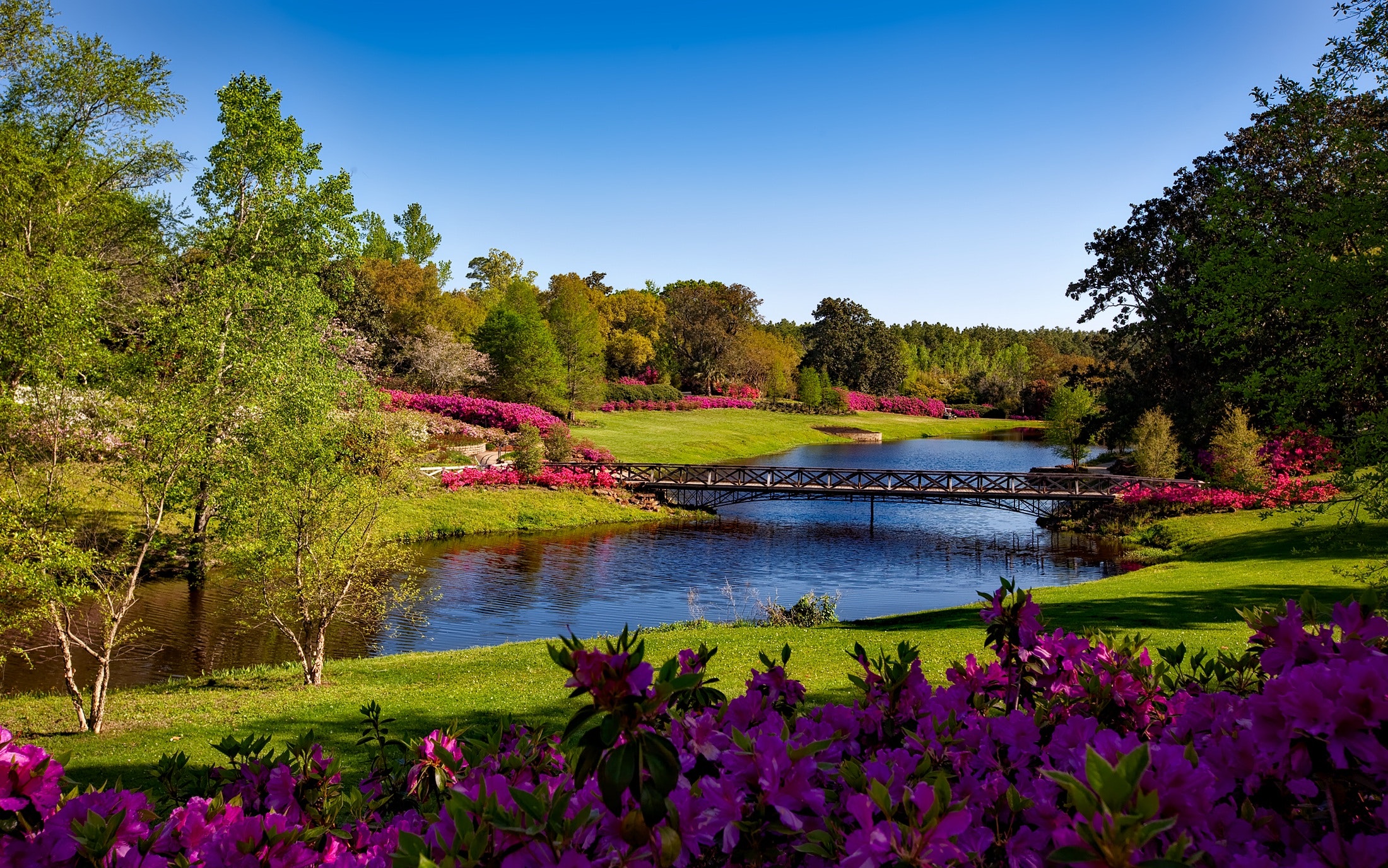 A golf course with a bridge and purple flowers, embracing the beauty of seasons.