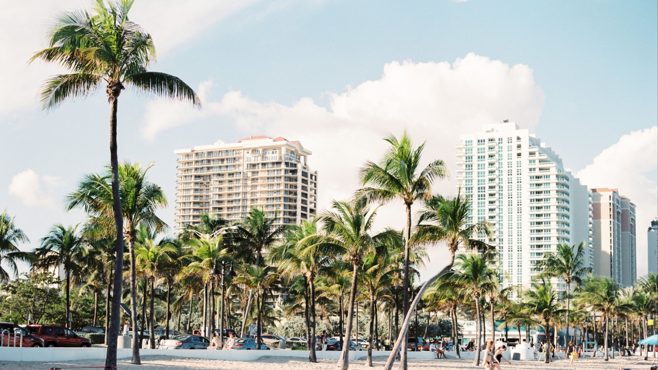 A beach with palm trees and buildings in Miami.