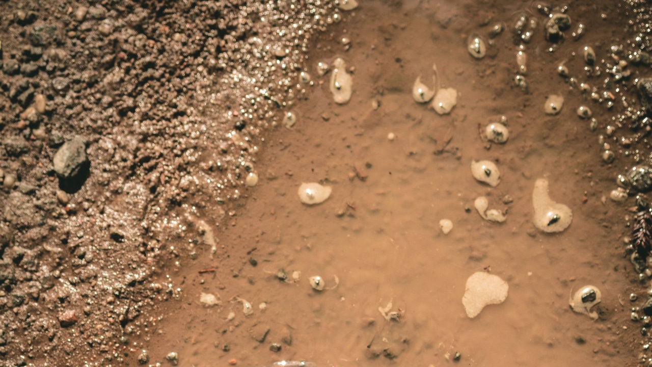 Nasa's curiosity rover exploring Mars.