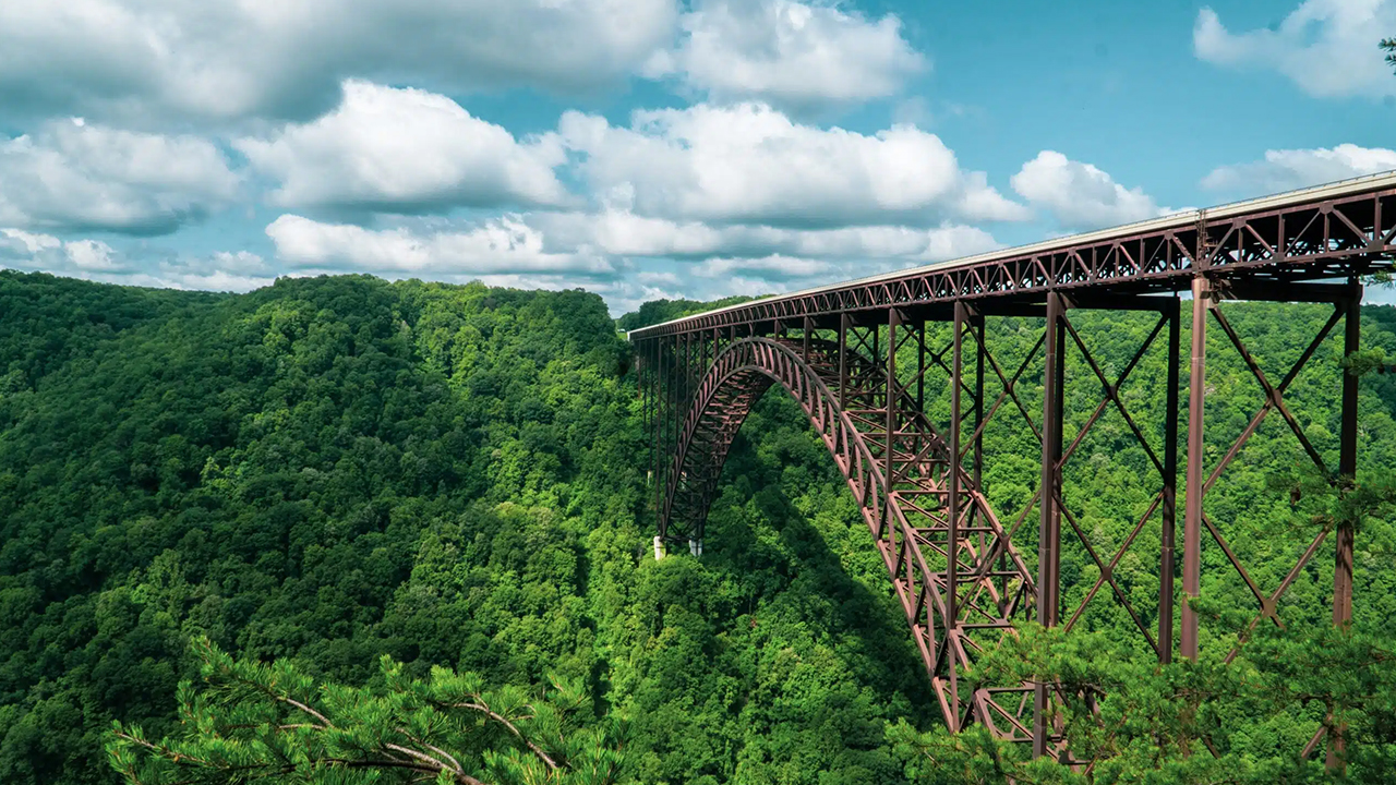 The Hatfield-McCoy Marathon takes participants on a scenic journey across a large bridge, offering breathtaking views of the green forest.