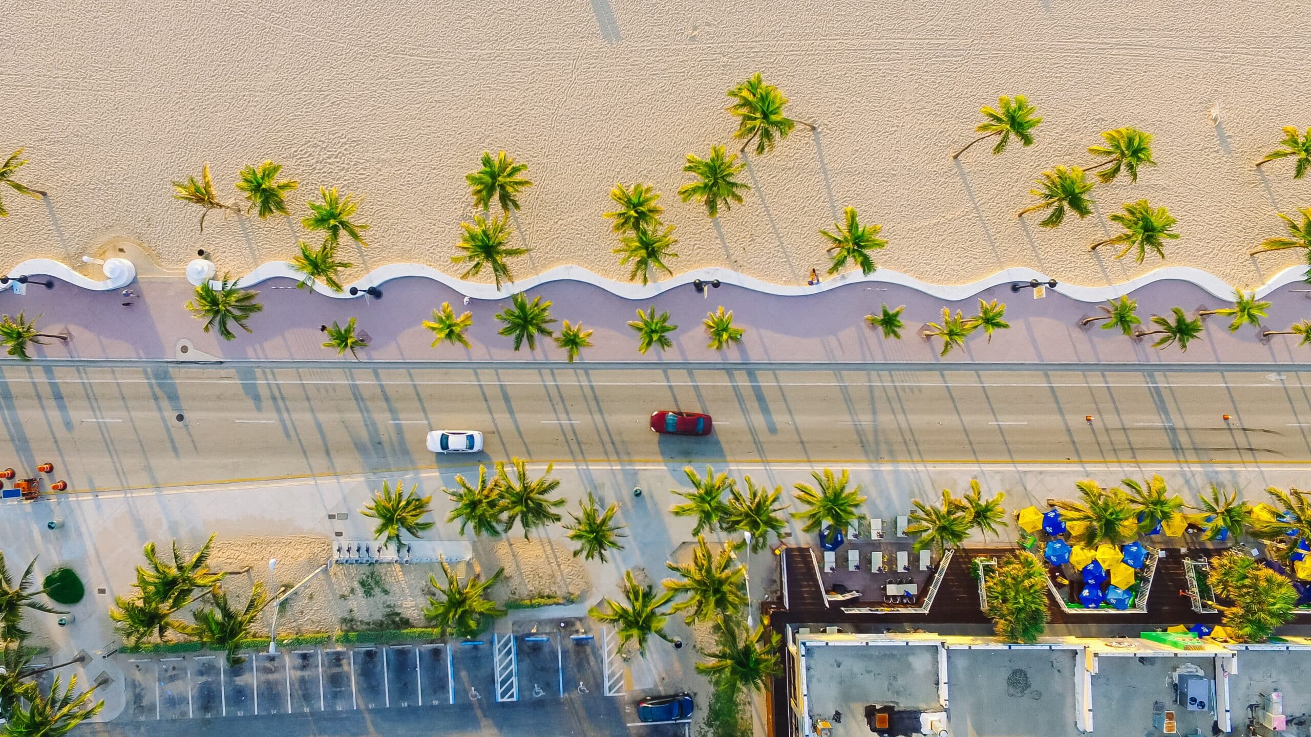 An aerial view of a beach with palm trees.