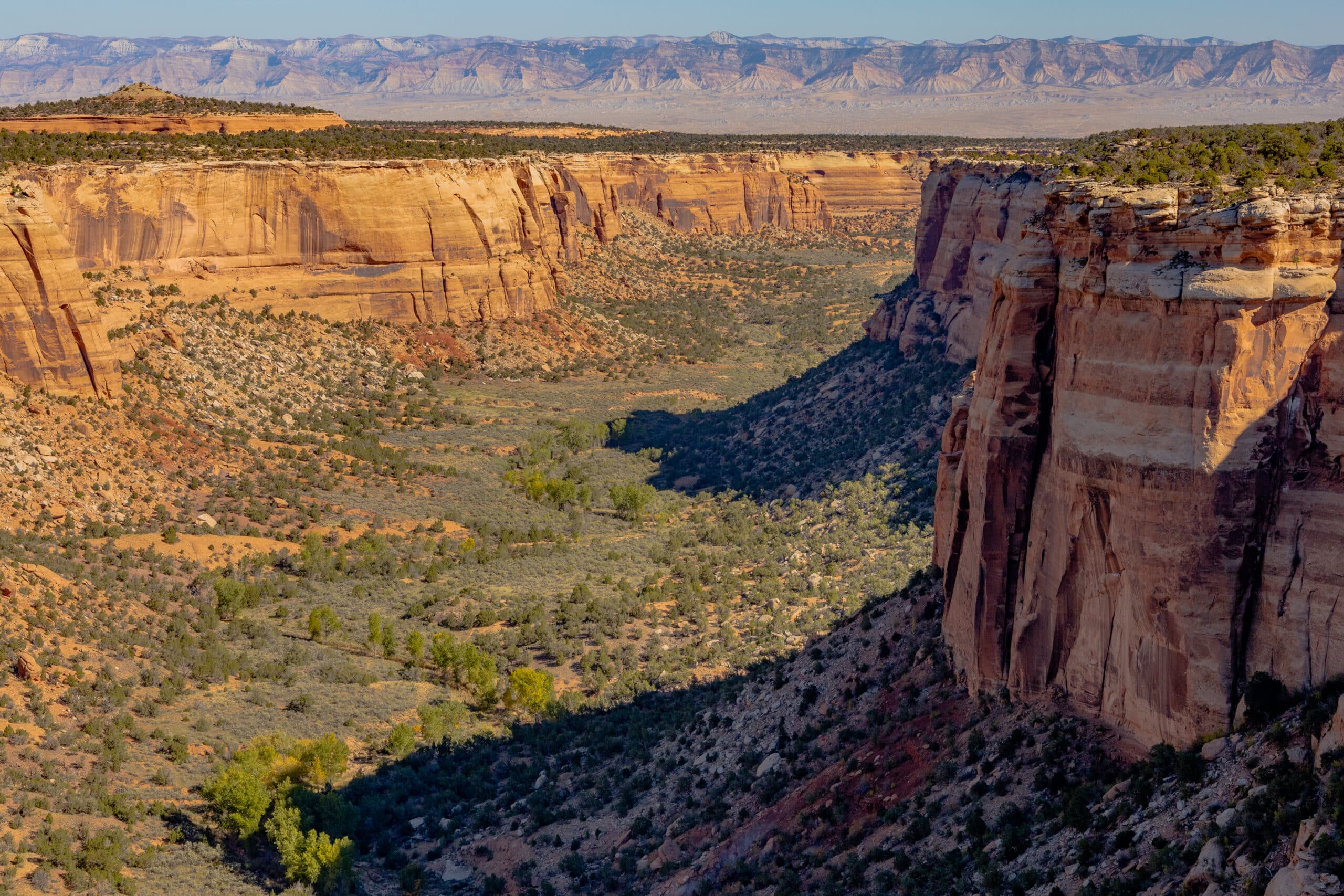 A view of the canyon from the top of a cliff.