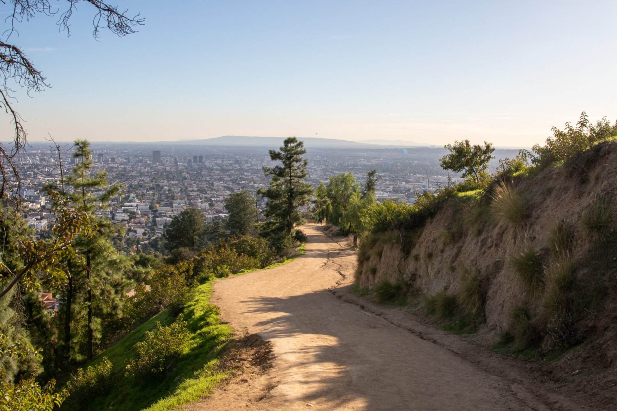 A dirt path leading up to a hill in los angeles.