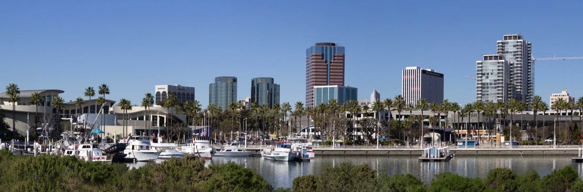 San diego harbor with boats docked in front of tall buildings.