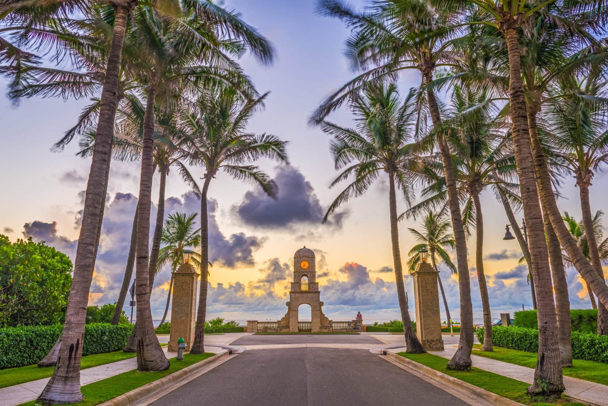 A road with palm trees and a statue in the background.